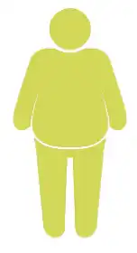 偏胖