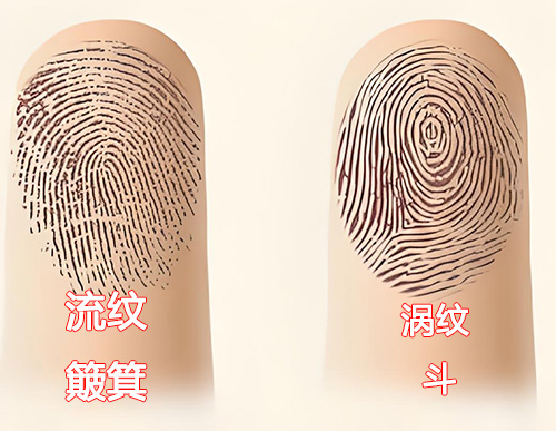 手指示意图