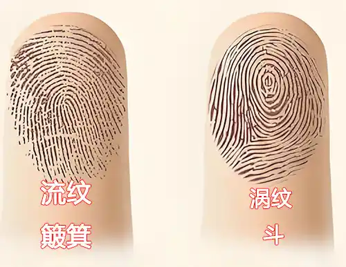 手指示意图