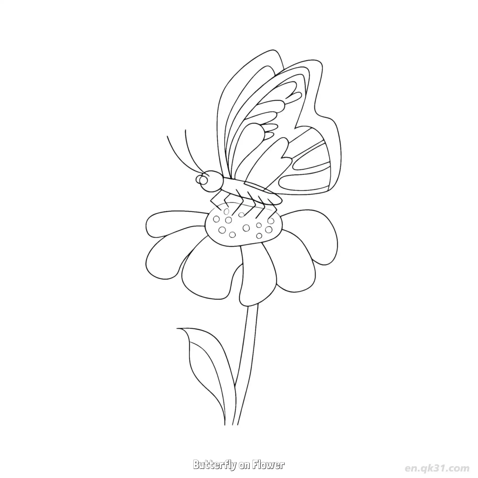 免费 花朵上的蝴蝶 简笔画 素描 涂鸦 - 免费可打印 蝴蝶简笔画 下载PDF 简笔画涂色页