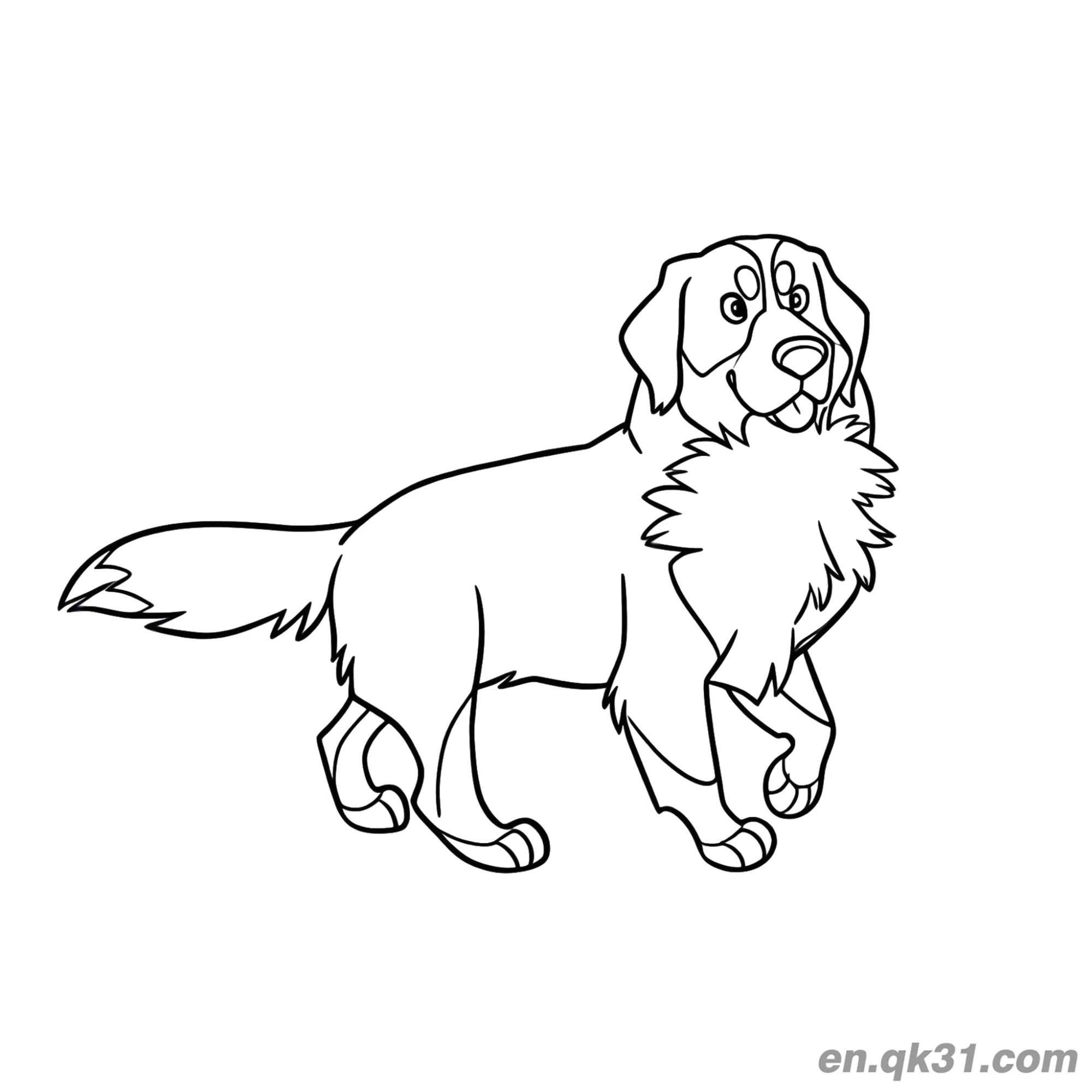 免费 伯恩山犬走路回头看简笔画涂色页 简笔画涂色页