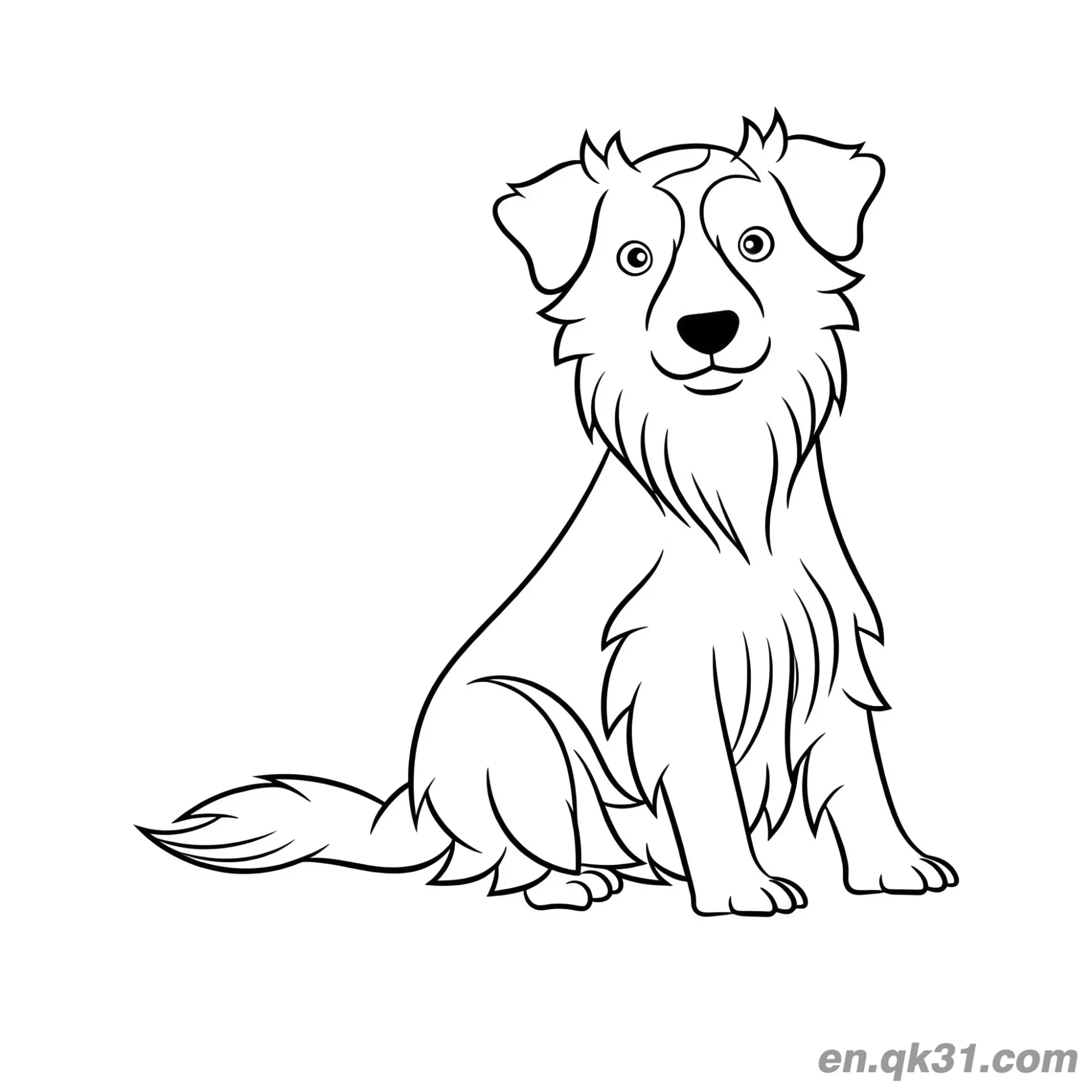免费 优雅的坐姿长毛伯恩山犬简笔画涂色页 简笔画涂色页