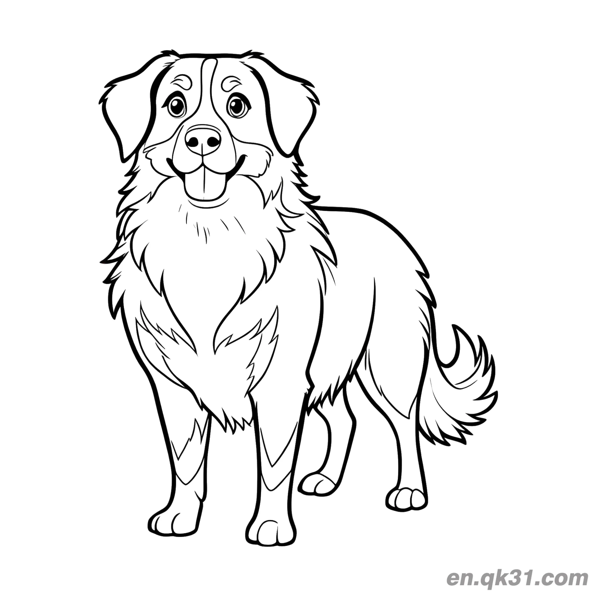 免费 正面站姿长毛伯恩山犬简笔画涂色页 简笔画涂色页