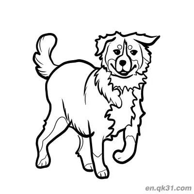 顽皮的走路伯恩山犬简笔画涂色页 – 免费可打印简笔画涂色画