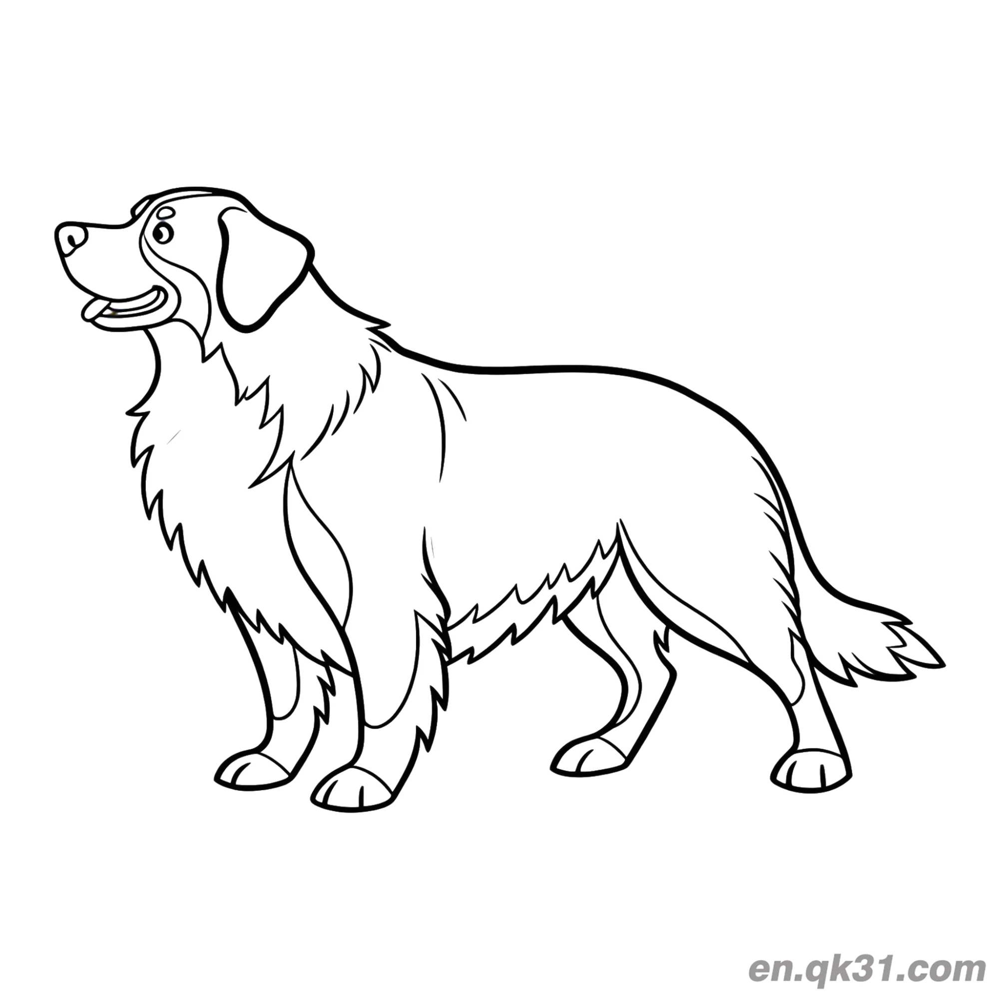 免费 侧面微笑伯恩山犬简笔画涂色页 简笔画涂色页
