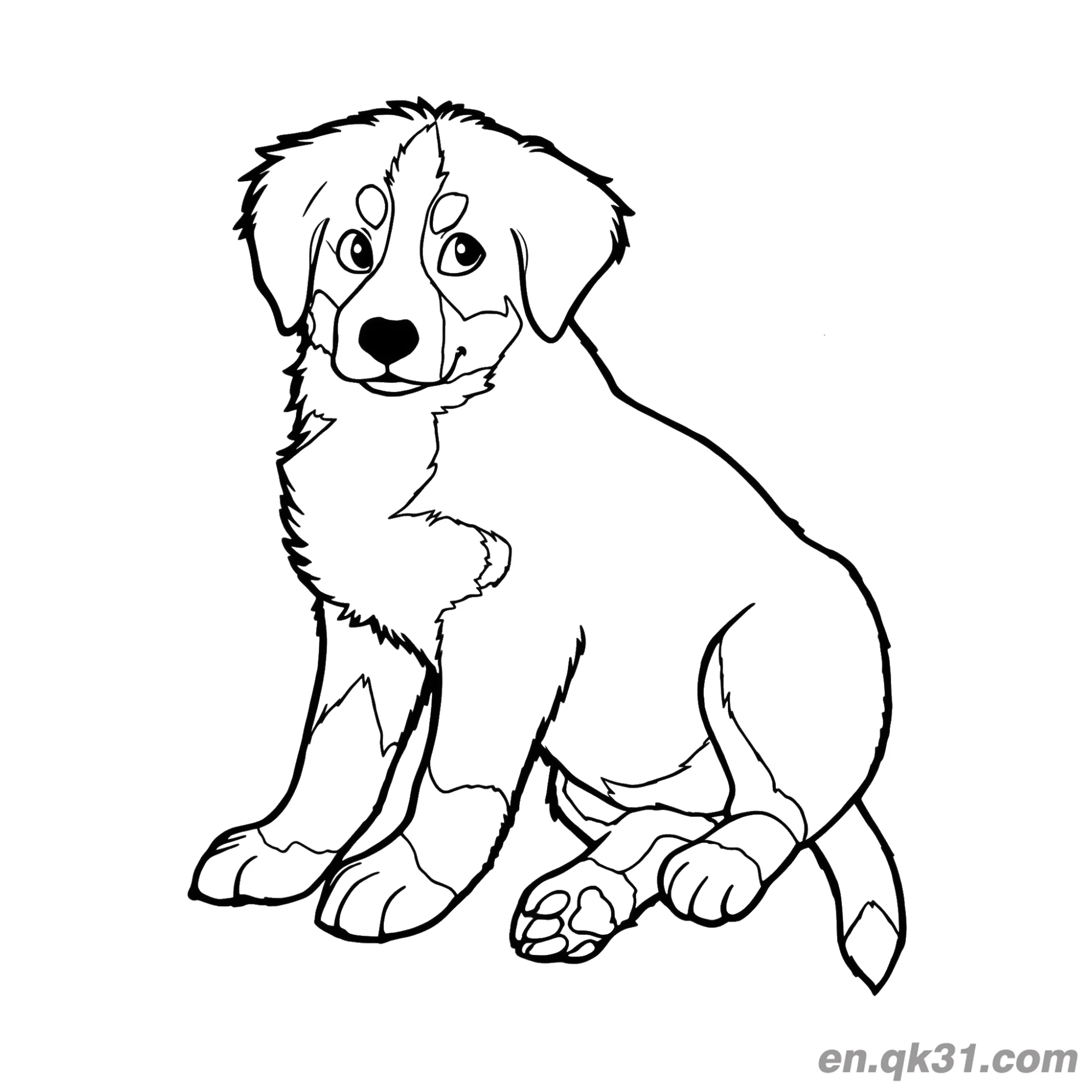 免费 乖巧坐姿伯恩山幼犬简笔画涂色页 简笔画涂色页