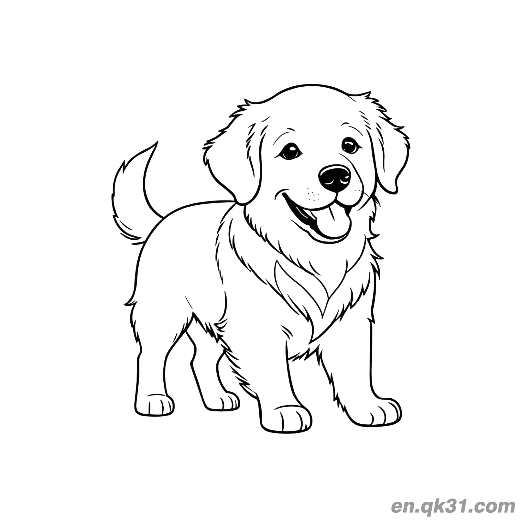 免费 可爱的站着的金毛寻回犬幼犬简笔画涂色页 简笔画涂色页
