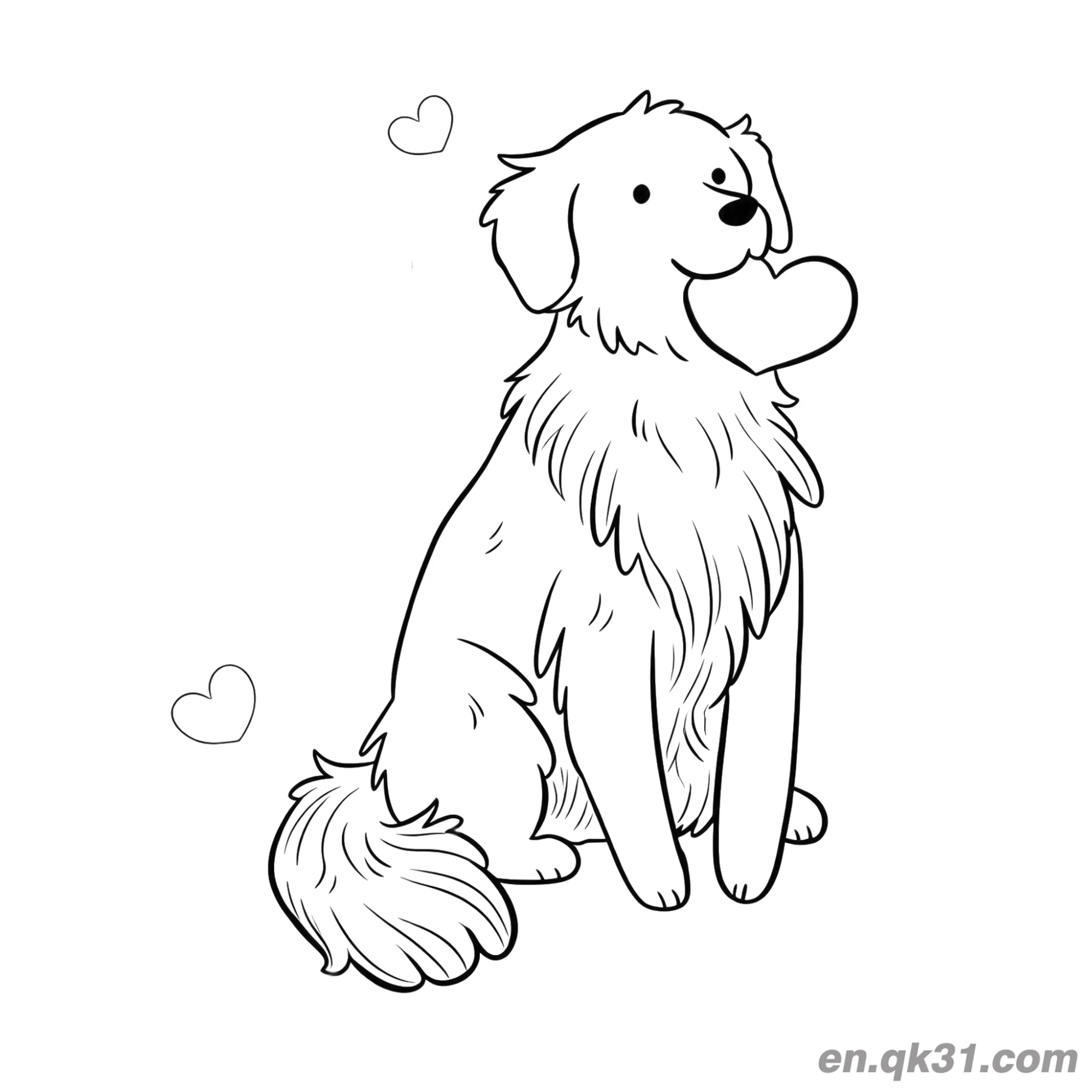 免费 金毛寻回犬带着心形简笔画涂色页 简笔画涂色页