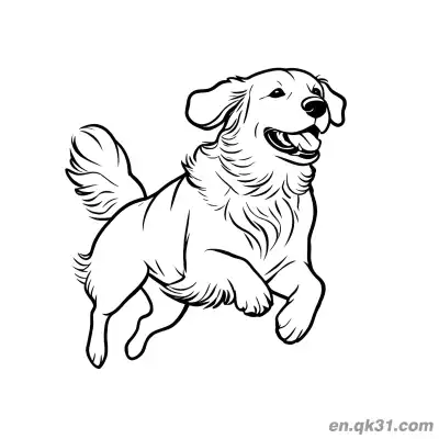 跳跃的金毛寻回犬充满活力的风格简笔画涂色页 – 免费可打印简笔画涂色画