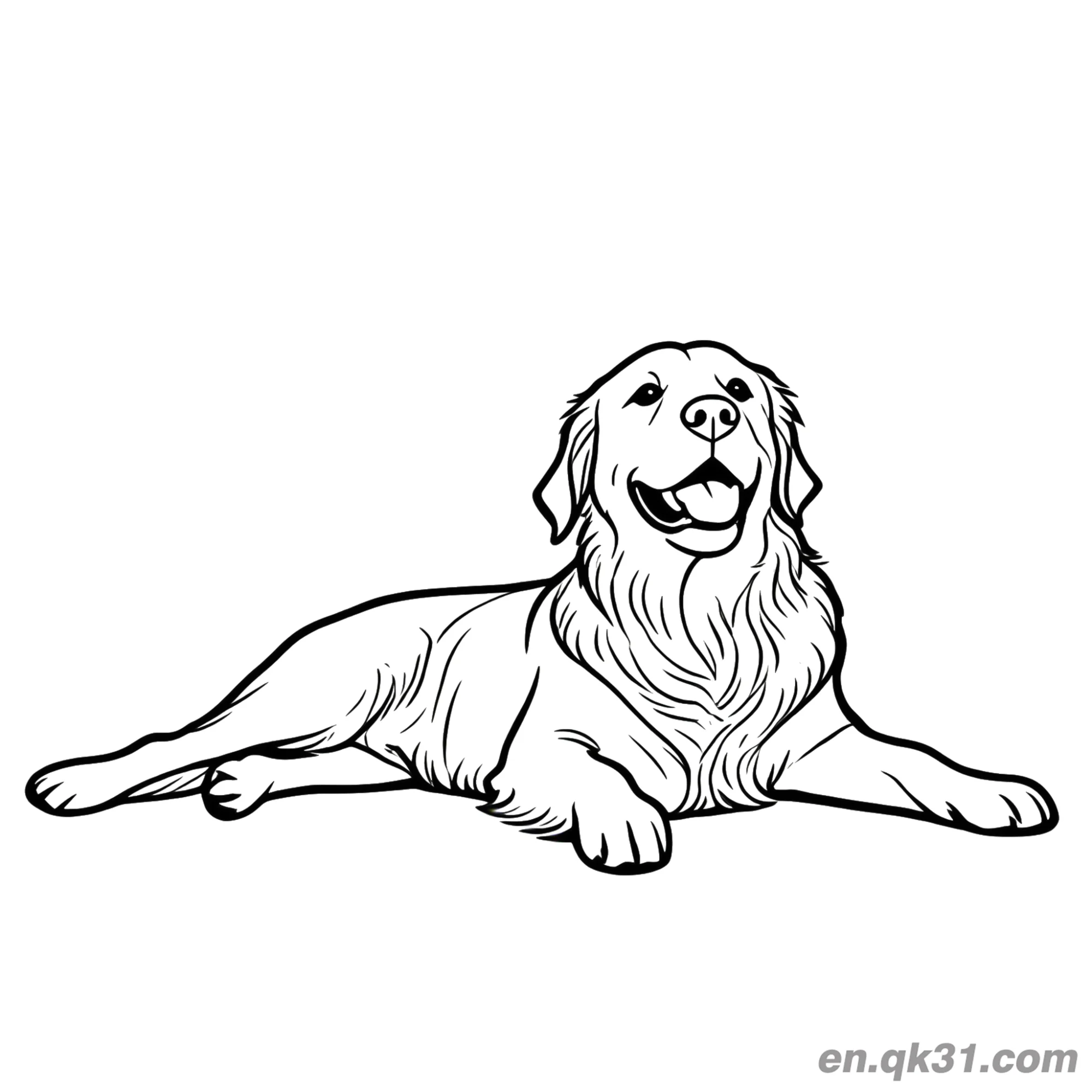 免费 躺着的微笑的金毛寻回犬平滑线条艺术简笔画涂色页 简笔画涂色页