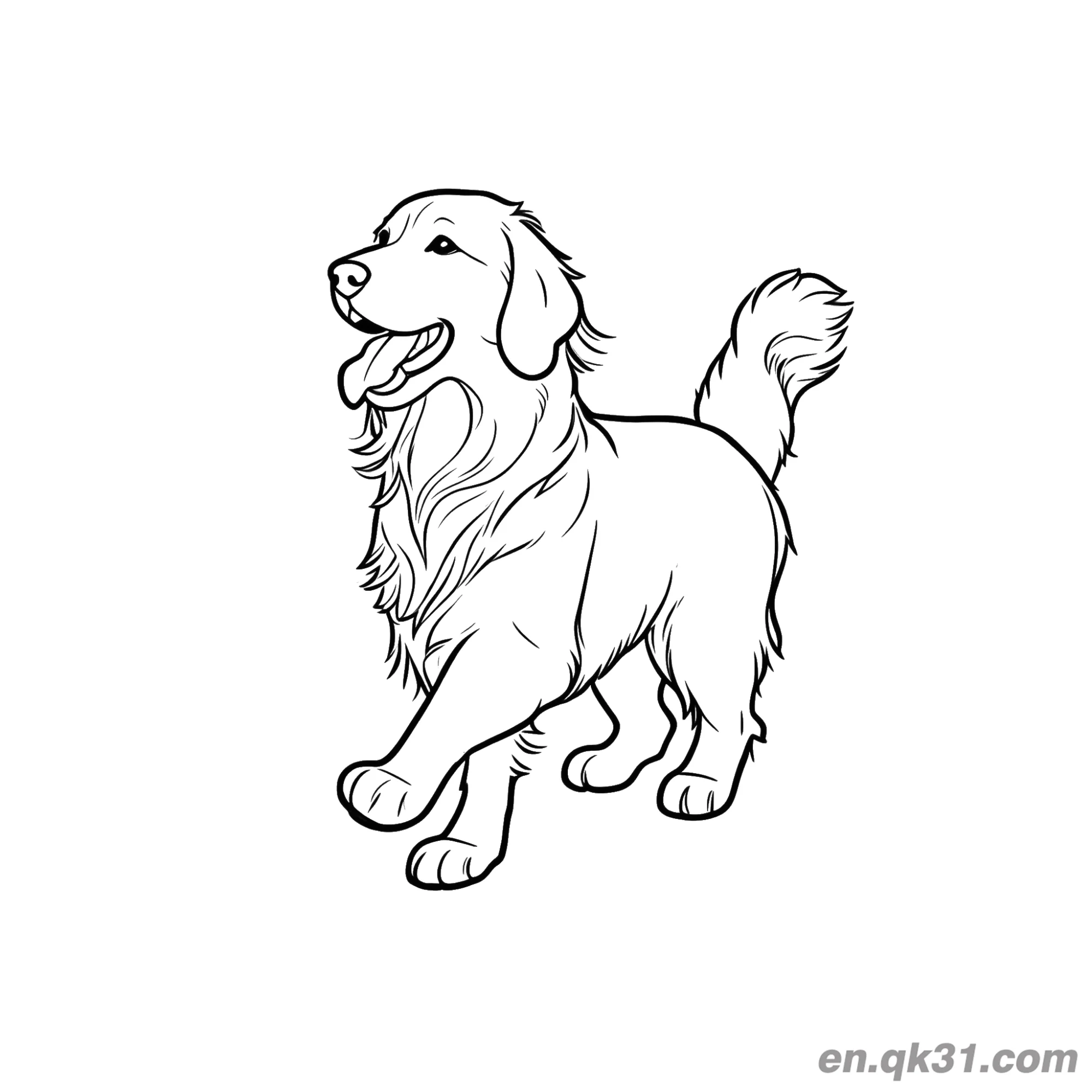 免费 写实的金毛寻回犬幼犬简笔画涂色页 简笔画涂色页