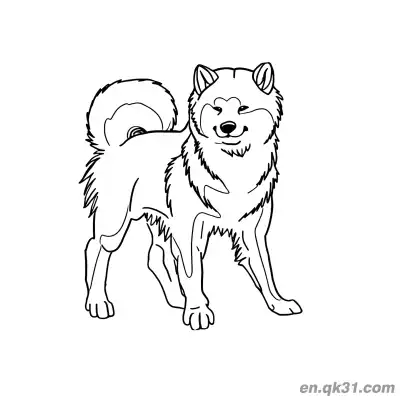 长毛蓬松站立柴犬简笔画涂色页柔软设计 – 免费可打印简笔画涂色画
