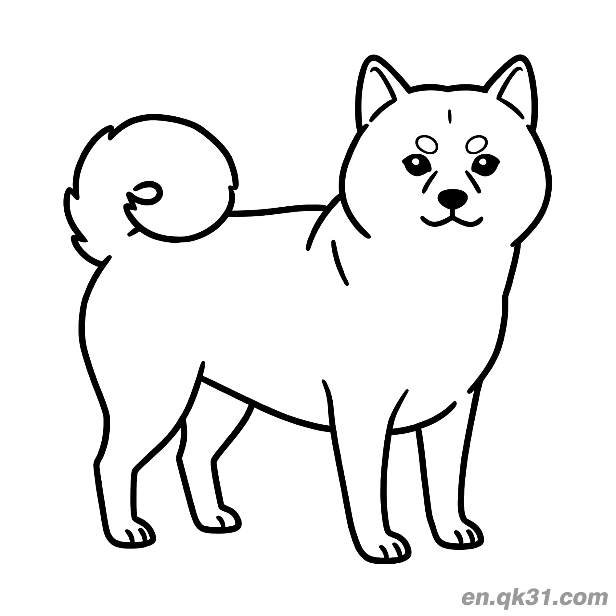 免费 标准站姿柴犬简笔画涂色页可打印 简笔画涂色页