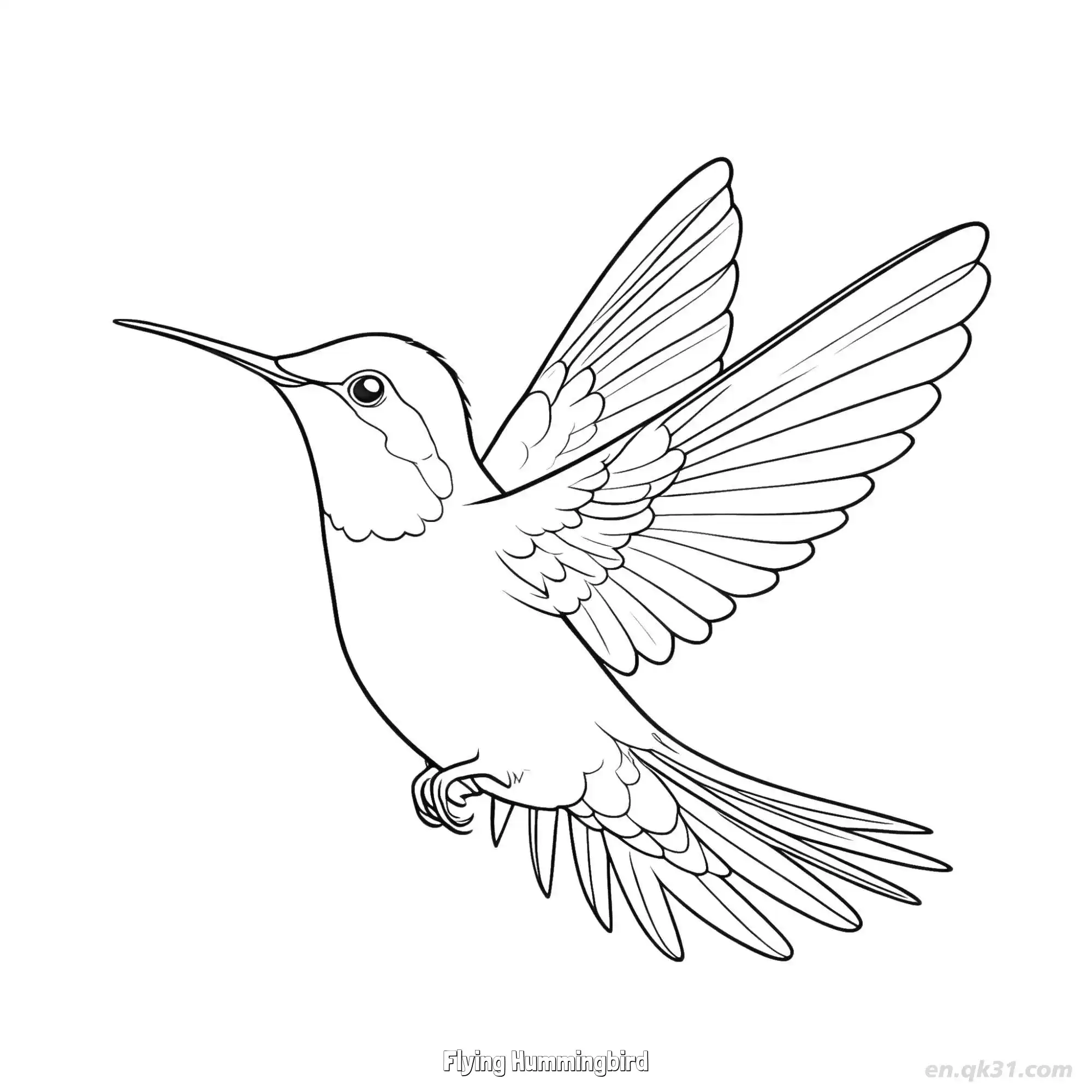 免费 飞翔的蜂鸟 1简笔画 素描 涂鸦 - 免费可打印 蜂鸟简笔画 下载PDF 简笔画涂色页