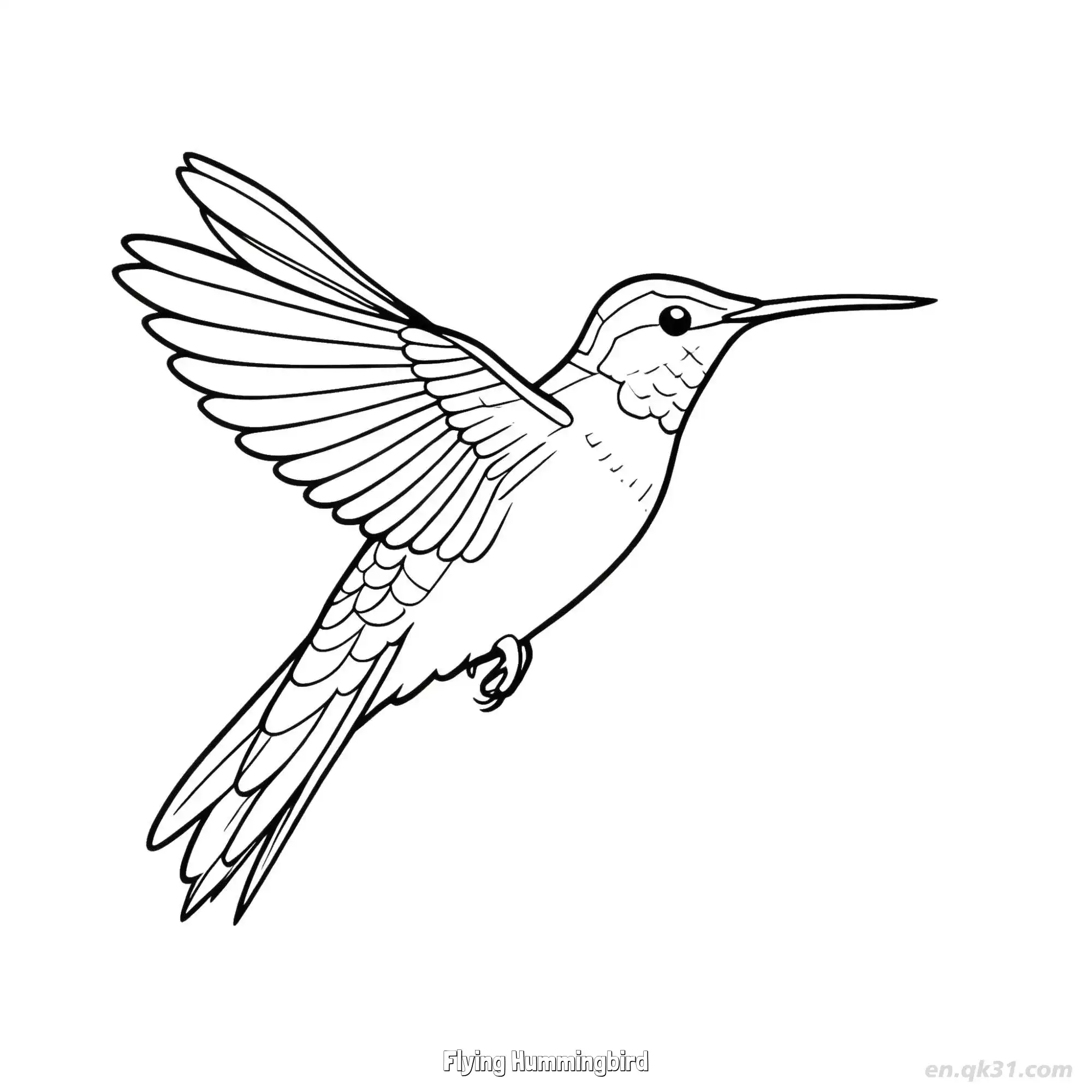 免费 飞翔的蜂鸟 4简笔画 素描 涂鸦 - 免费可打印 蜂鸟简笔画 下载PDF 简笔画涂色页