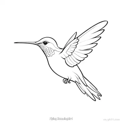 飞翔的蜂鸟 6简笔画 素描 涂鸦 - 免费可打印 蜂鸟简笔画 下载PDF – 免费可打印简笔画涂色画