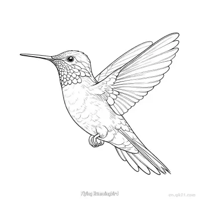 飞翔的蜂鸟 7简笔画 素描 涂鸦 - 免费可打印 蜂鸟简笔画 下载PDF – 免费可打印简笔画涂色画