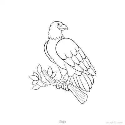 栖息树枝老鹰涂色页 – 免费可打印简笔画涂色画
