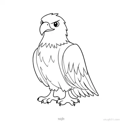 锋利爪子老鹰涂色页 – 免费可打印简笔画涂色画