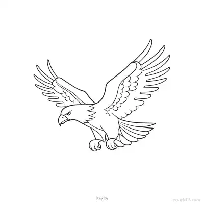飞鹰儿童涂色页 – 免费可打印简笔画涂色画