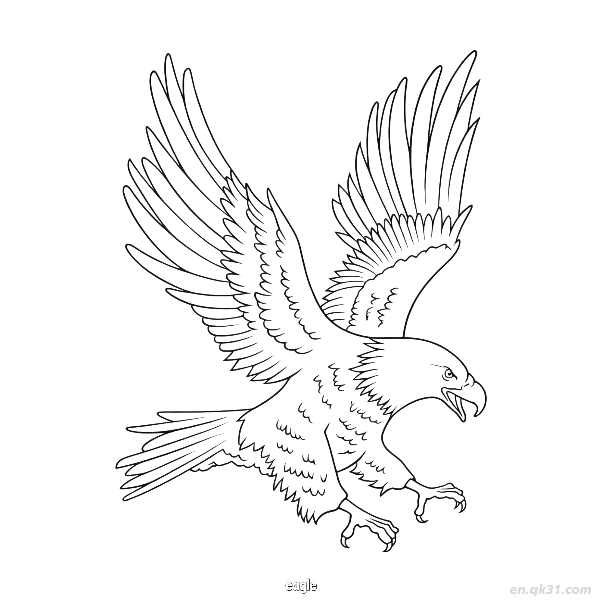 免费 飞行老鹰强大鸟类涂色页 简笔画涂色页