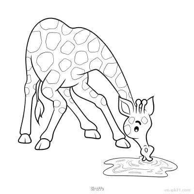 伸腿喝水长颈鹿涂色页 – 免费可打印简笔画涂色画