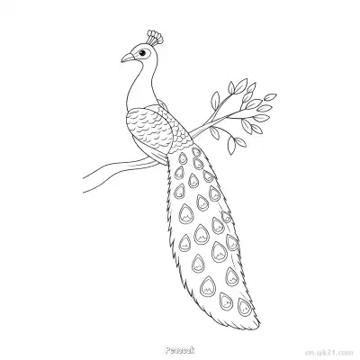 树枝上孔雀涂色页 – 免费可打印简笔画涂色画