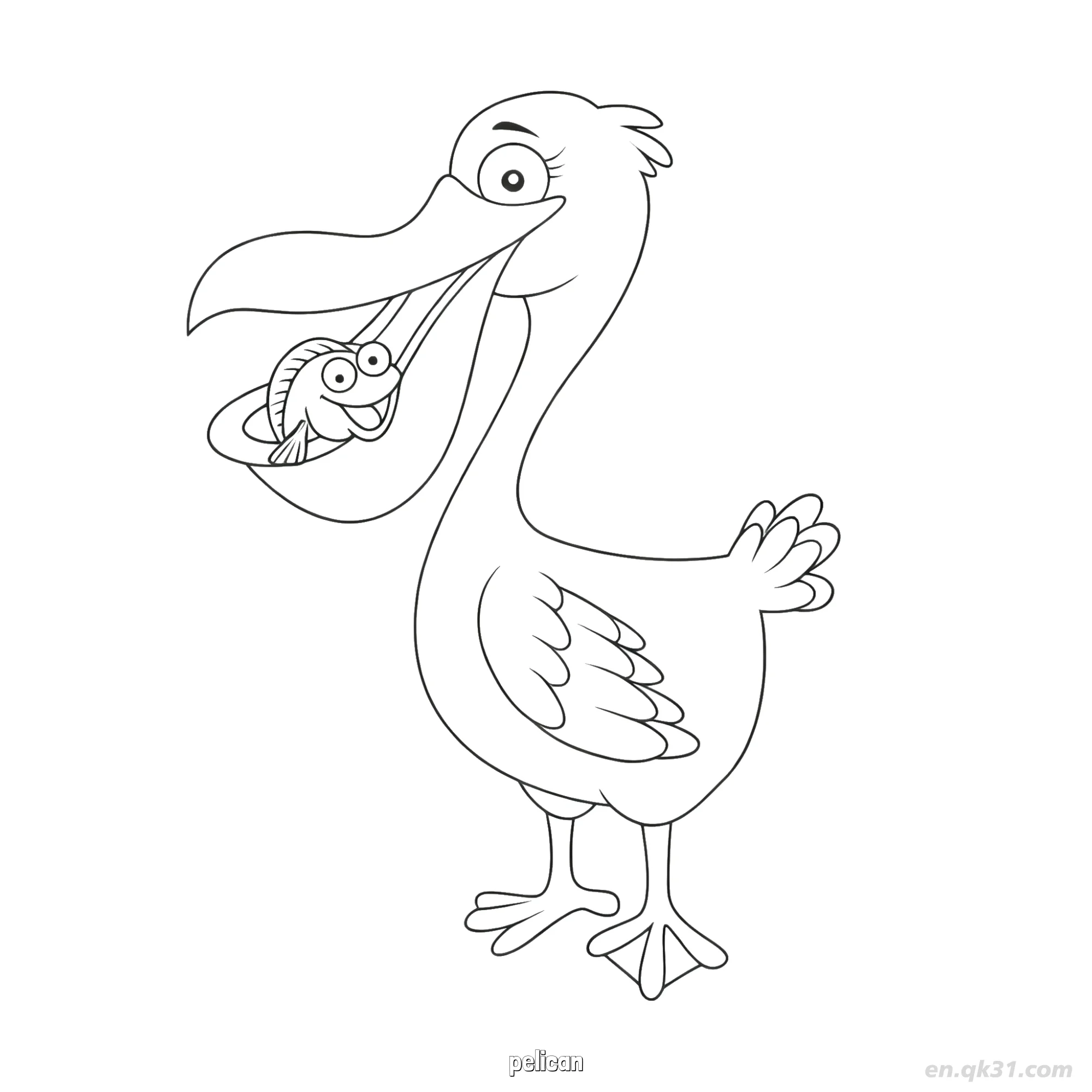 免费 抓鱼鹈鹕涂色页 简笔画涂色页