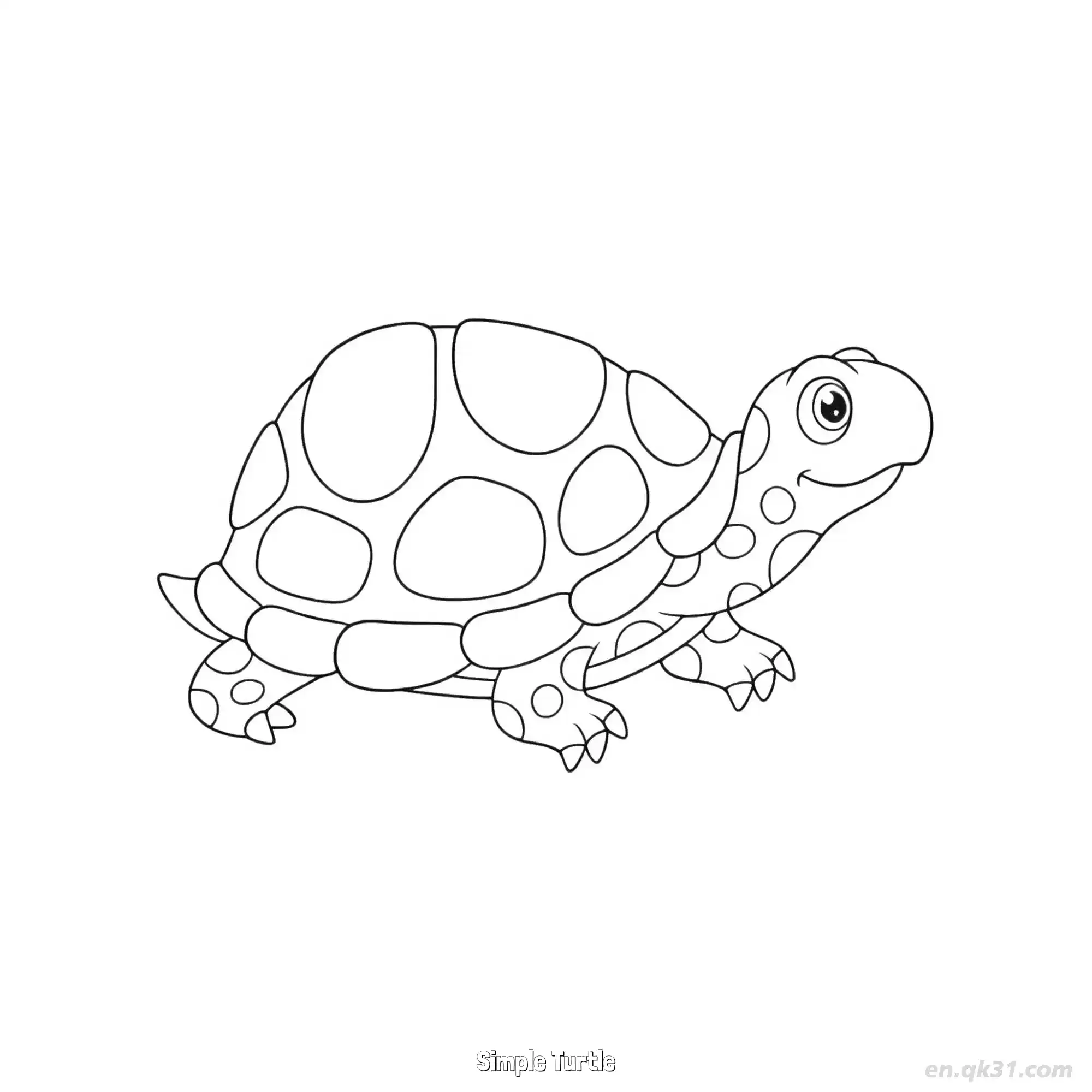 免费 简单乌龟 简笔画 素描 涂鸦 - 免费可打印 海龟简笔画 下载PDF 简笔画涂色页