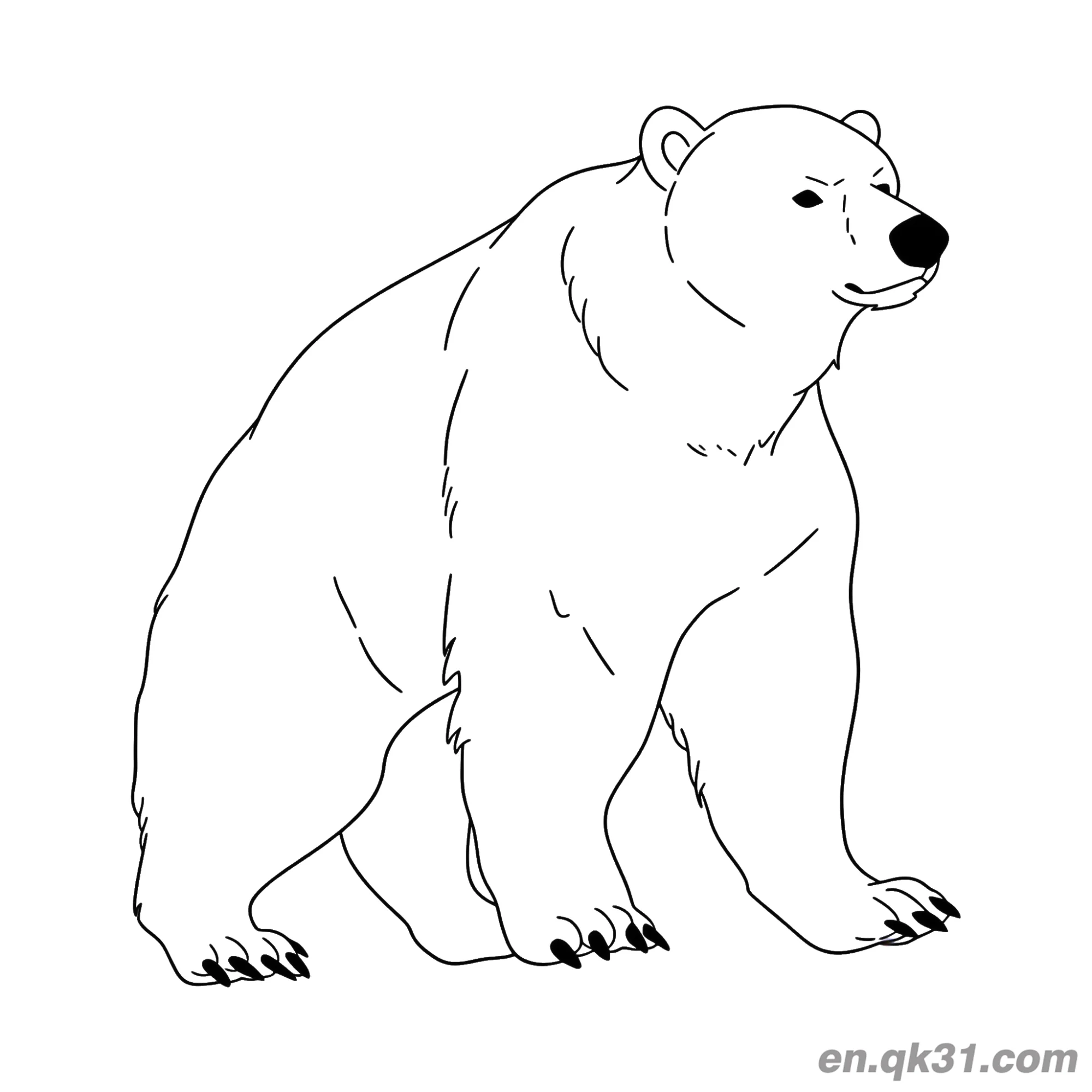 免费 行走的凶猛北极熊简笔画涂色页 简笔画涂色页