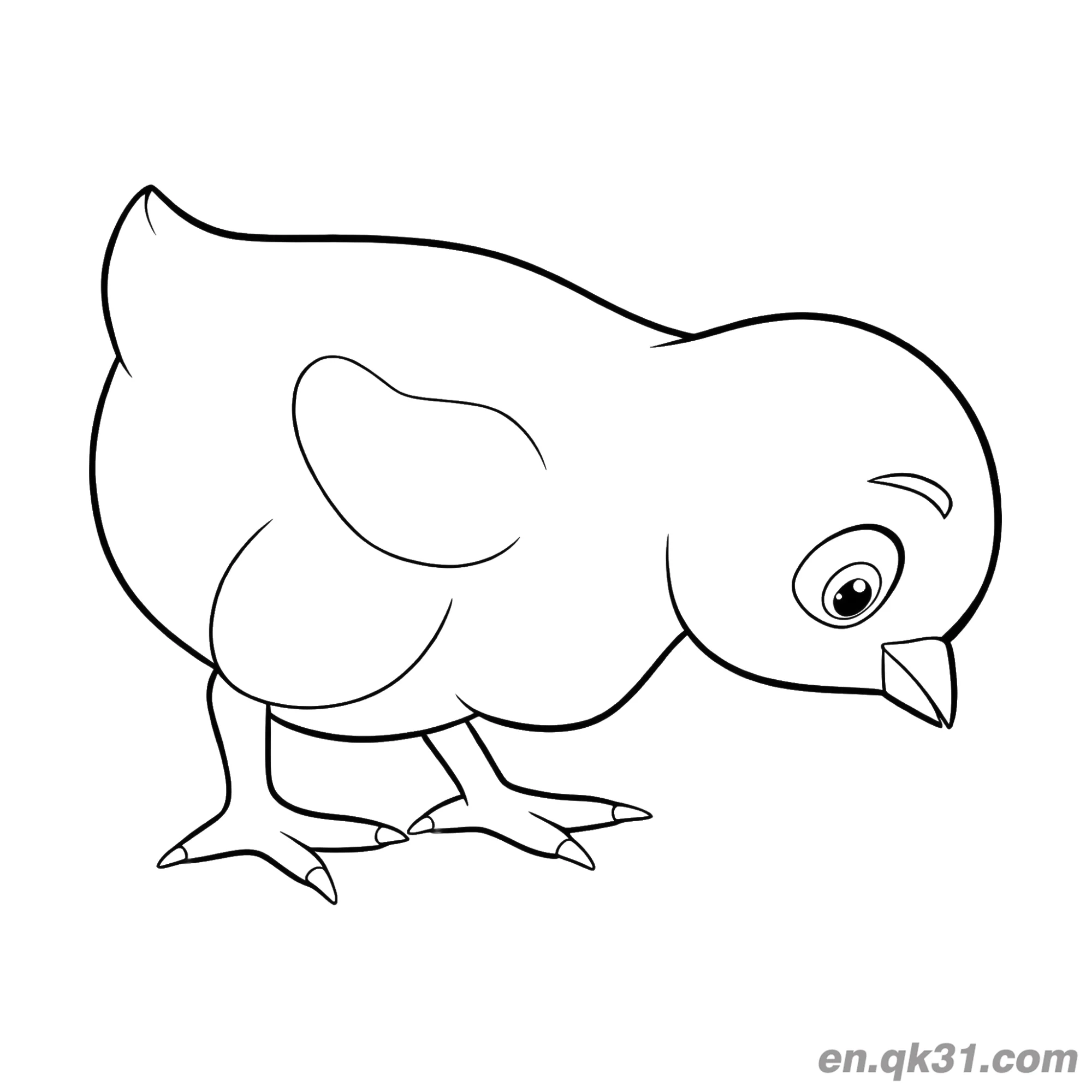 免费 卡通小鸡啄食简笔画涂色页 | 简单可打印 简笔画涂色页