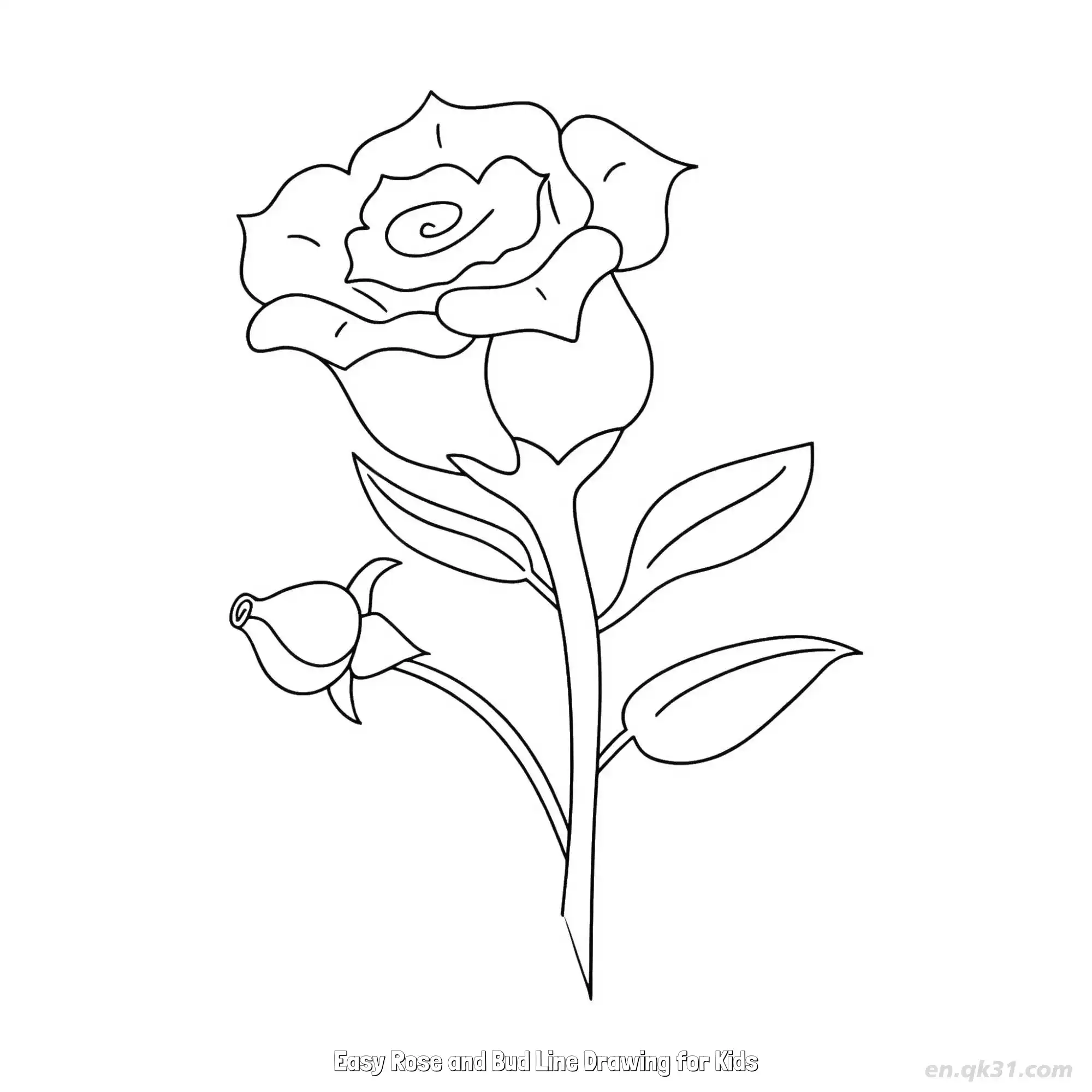免费 儿童简易玫瑰和花蕾线条画 简笔画 素描 涂鸦 - 免费可打印 玫瑰花简笔画 下载PDF 简笔画涂色页