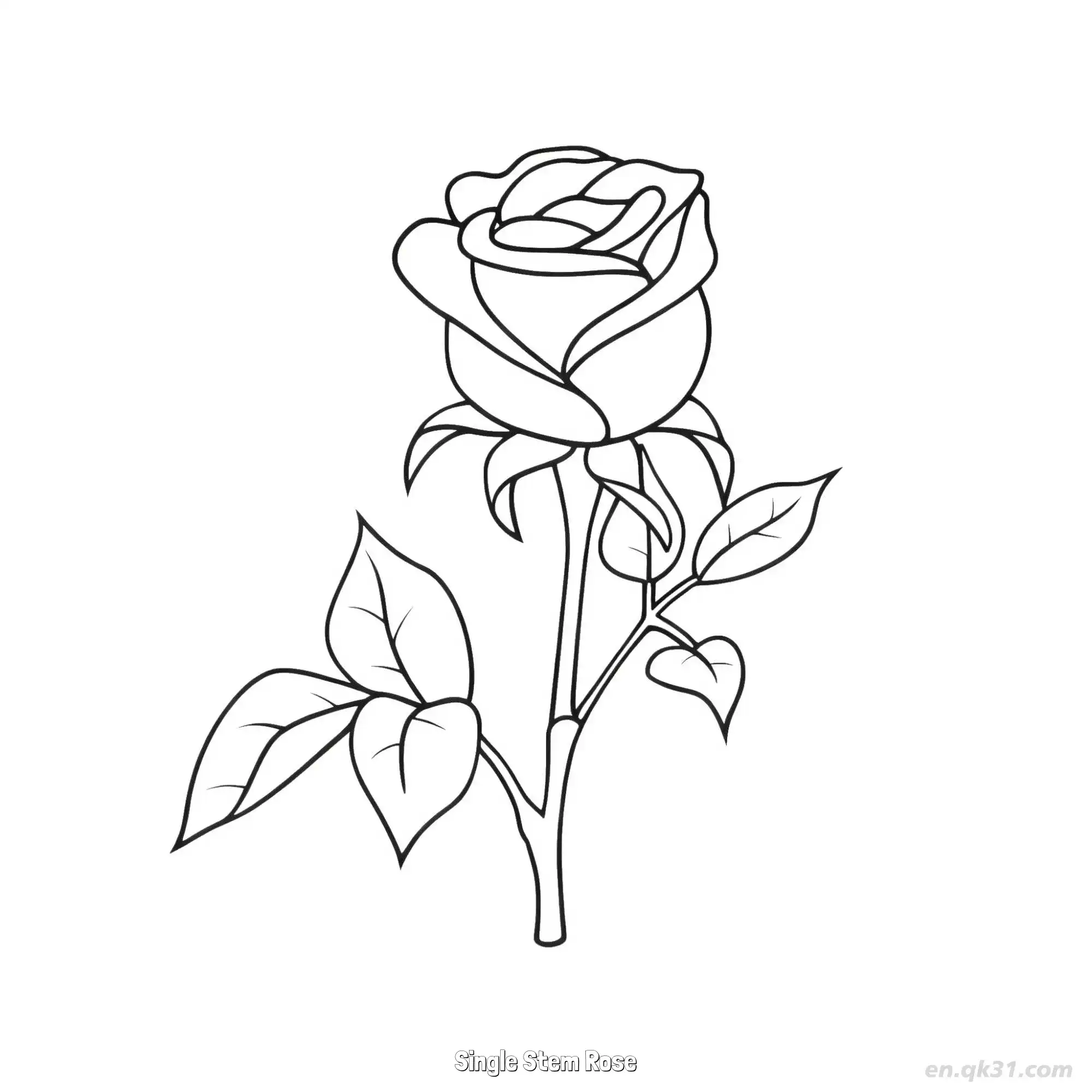 免费 单枝玫瑰 简笔画 素描 涂鸦 - 免费可打印 玫瑰花简笔画 下载PDF 简笔画涂色页