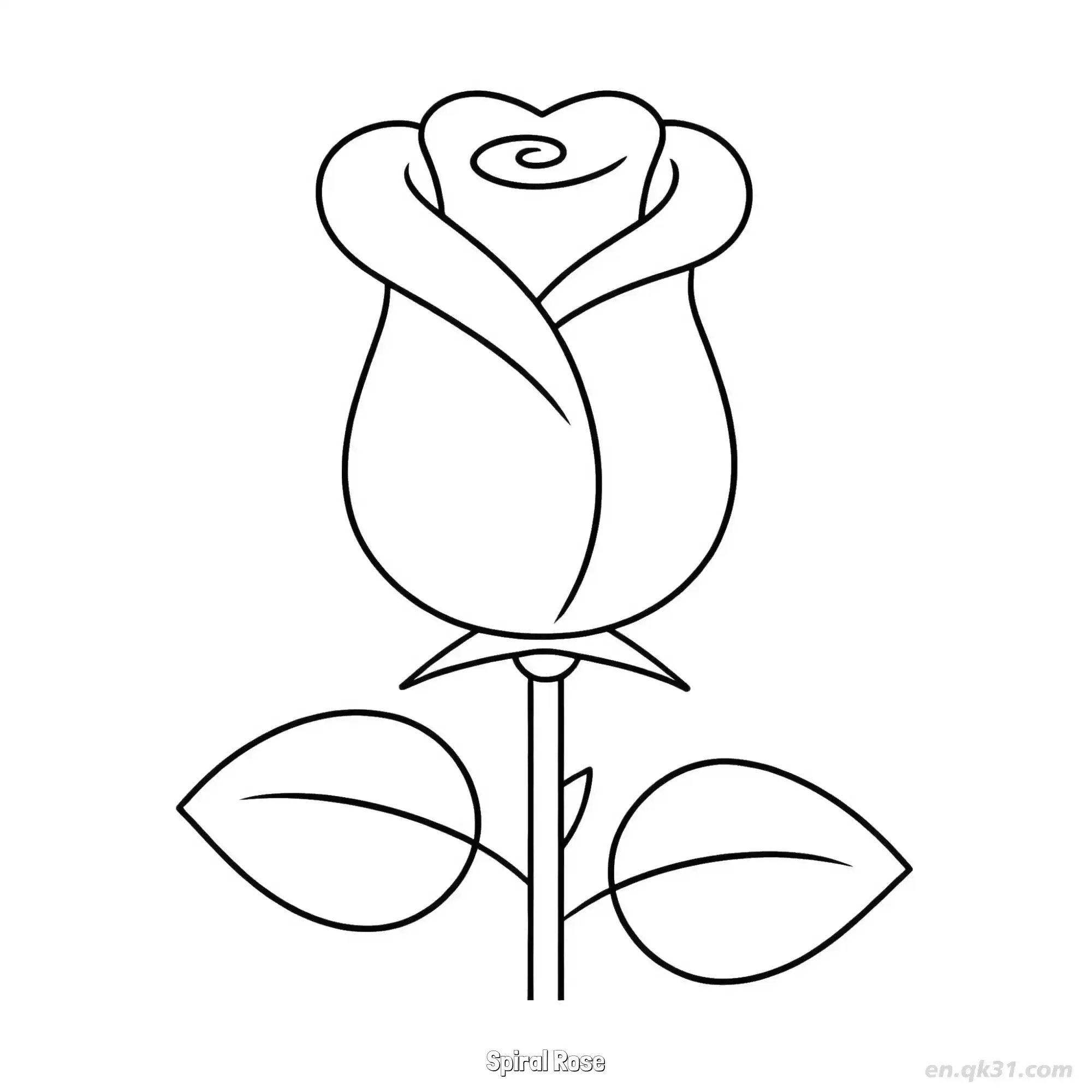 免费 螺旋玫瑰 简笔画 素描 涂鸦 - 免费可打印 玫瑰花简笔画 下载PDF 简笔画涂色页