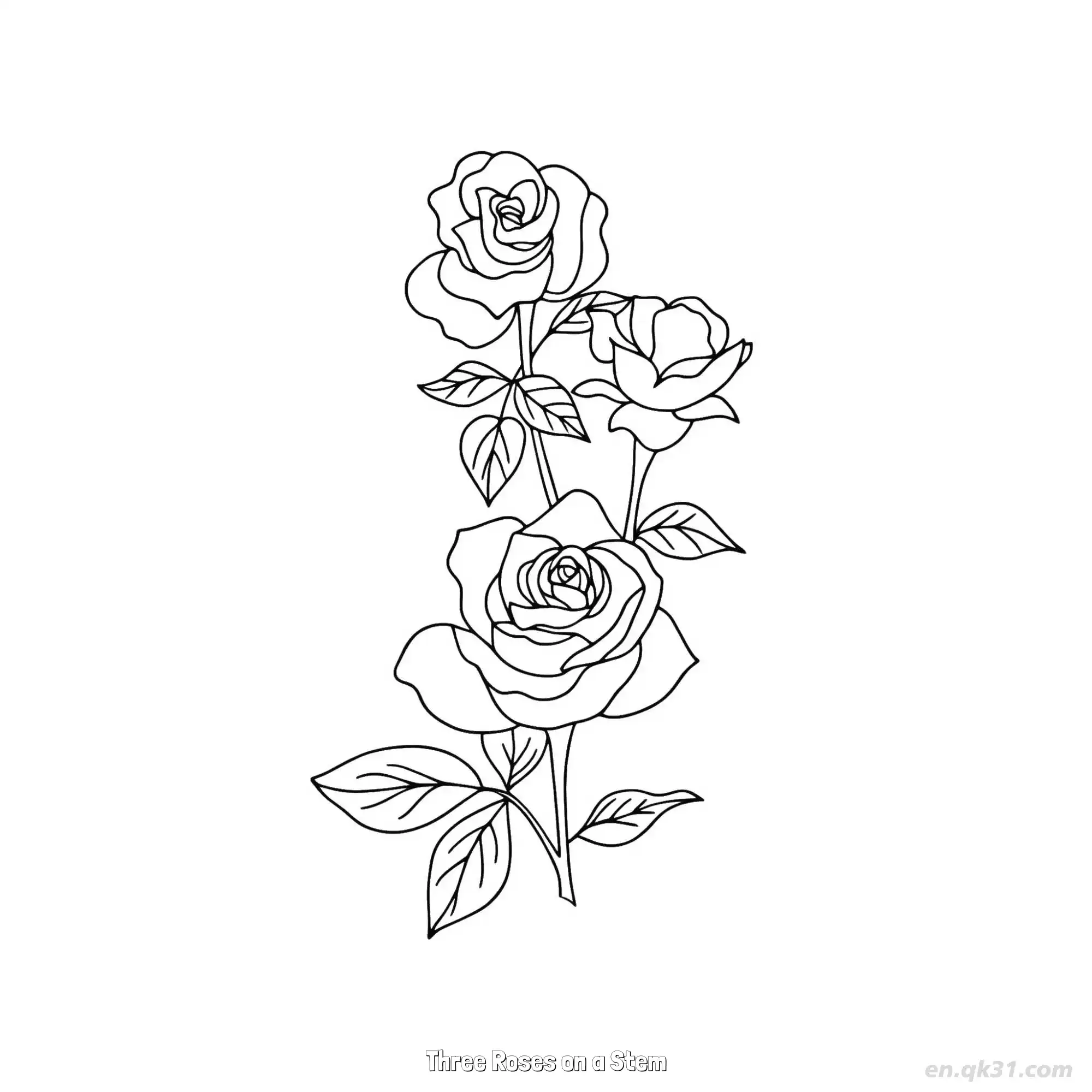 免费 茎上的三朵玫瑰 简笔画 素描 涂鸦 - 免费可打印 玫瑰花简笔画 下载PDF 简笔画涂色页