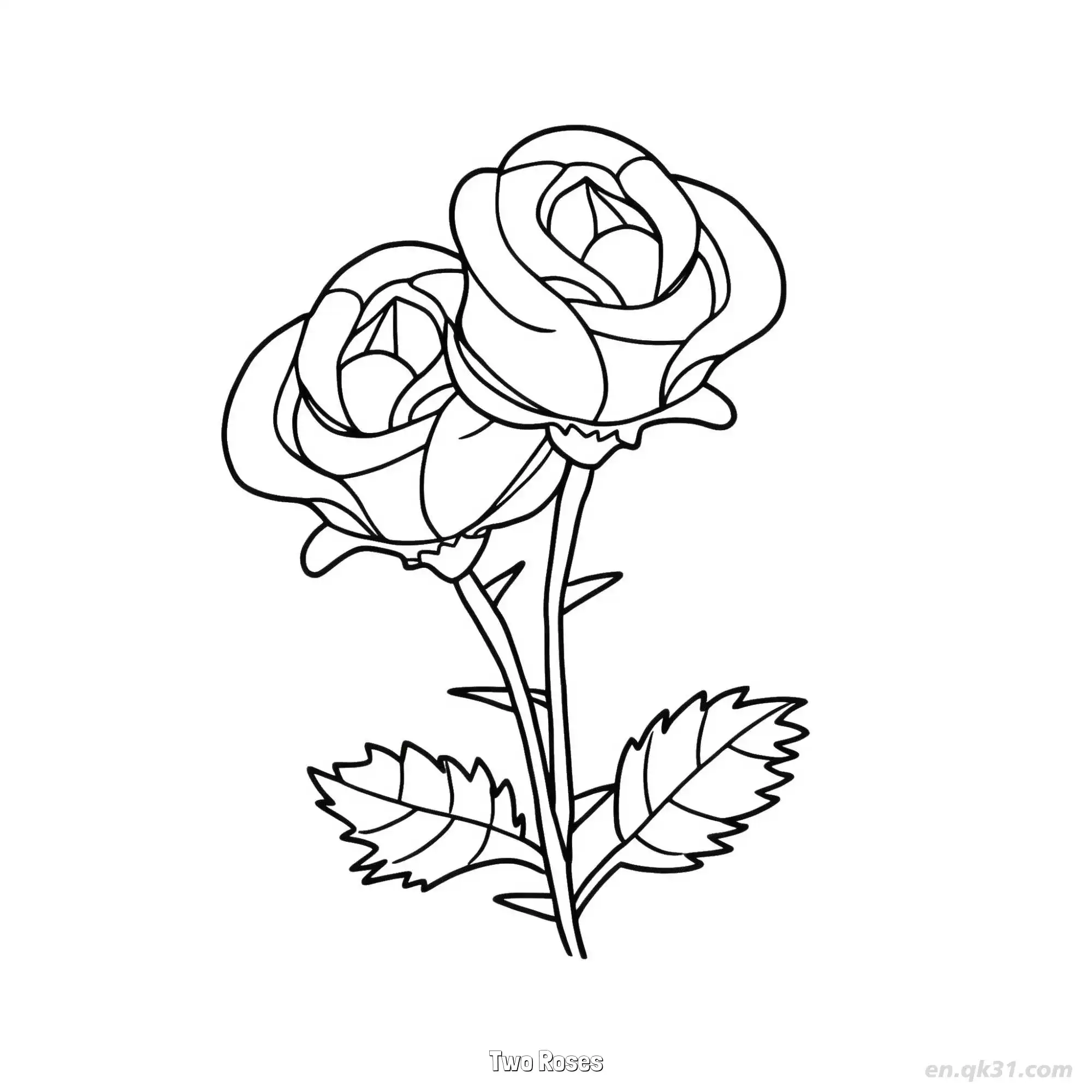 免费 两朵玫瑰 简笔画 素描 涂鸦 - 免费可打印 玫瑰花简笔画 下载PDF 简笔画涂色页