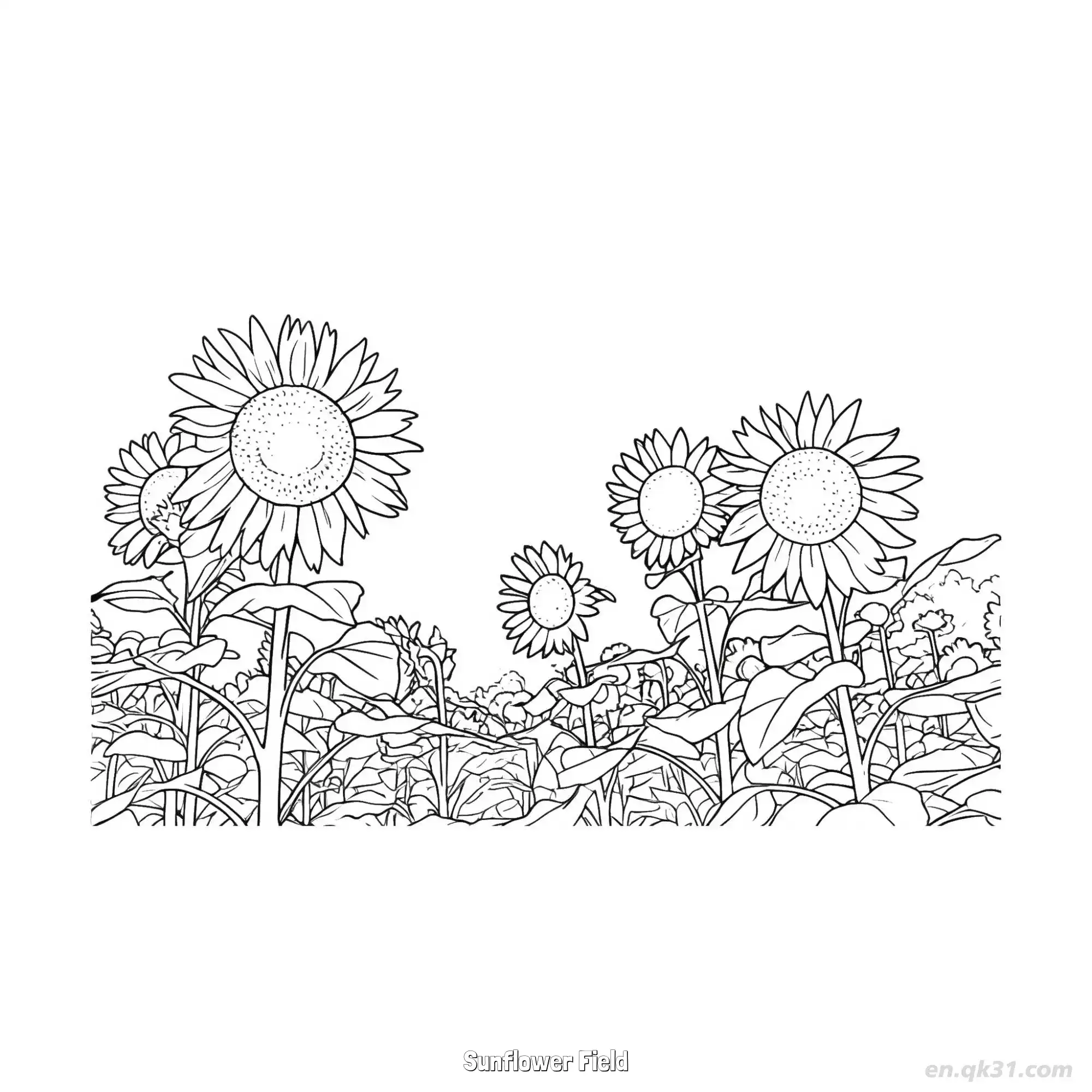 免费 向日葵花田 简笔画 素描 涂鸦 - 免费可打印 向日葵简笔画 下载PDF 简笔画涂色页