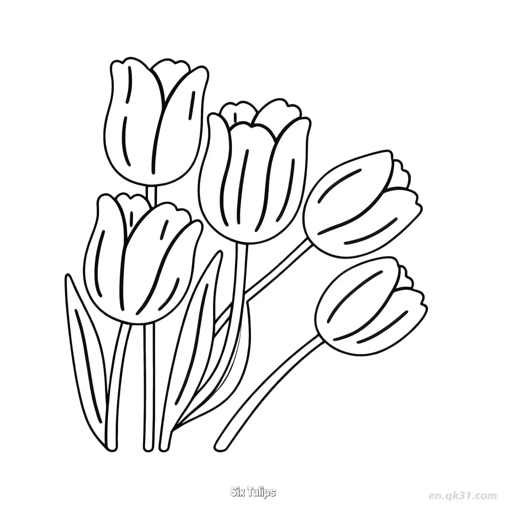 免费 六朵郁金香 简笔画 素描 涂鸦 - 免费可打印 郁金香简笔画 下载PDF 简笔画涂色页