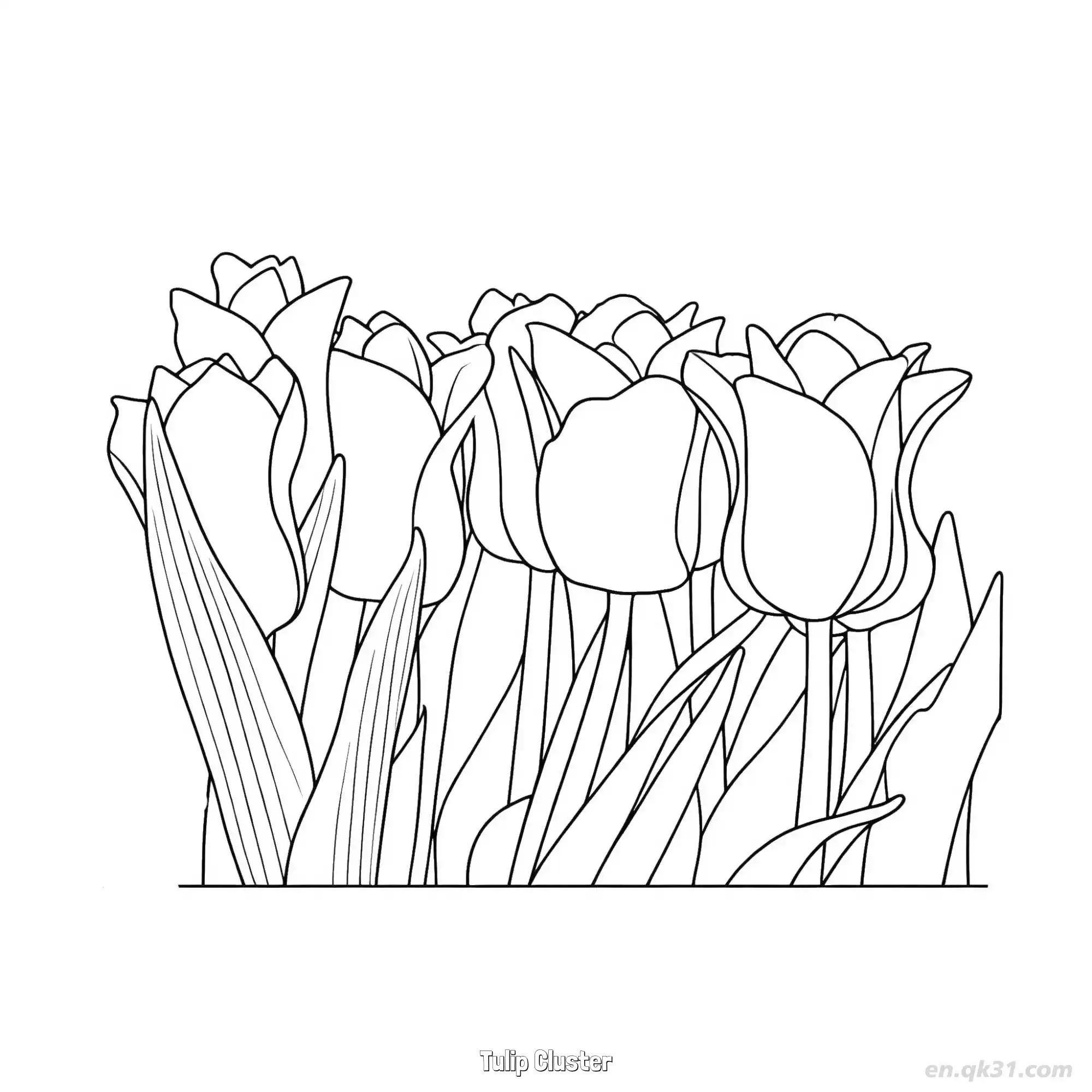 免费 郁金香花簇 简笔画 素描 涂鸦 - 免费可打印 郁金香简笔画 下载PDF 简笔画涂色页