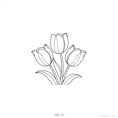 郁金香三朵 简笔画 素描 涂鸦 - 免费可打印 郁金香简笔画 下载PDF – 免费可打印简笔画涂色画