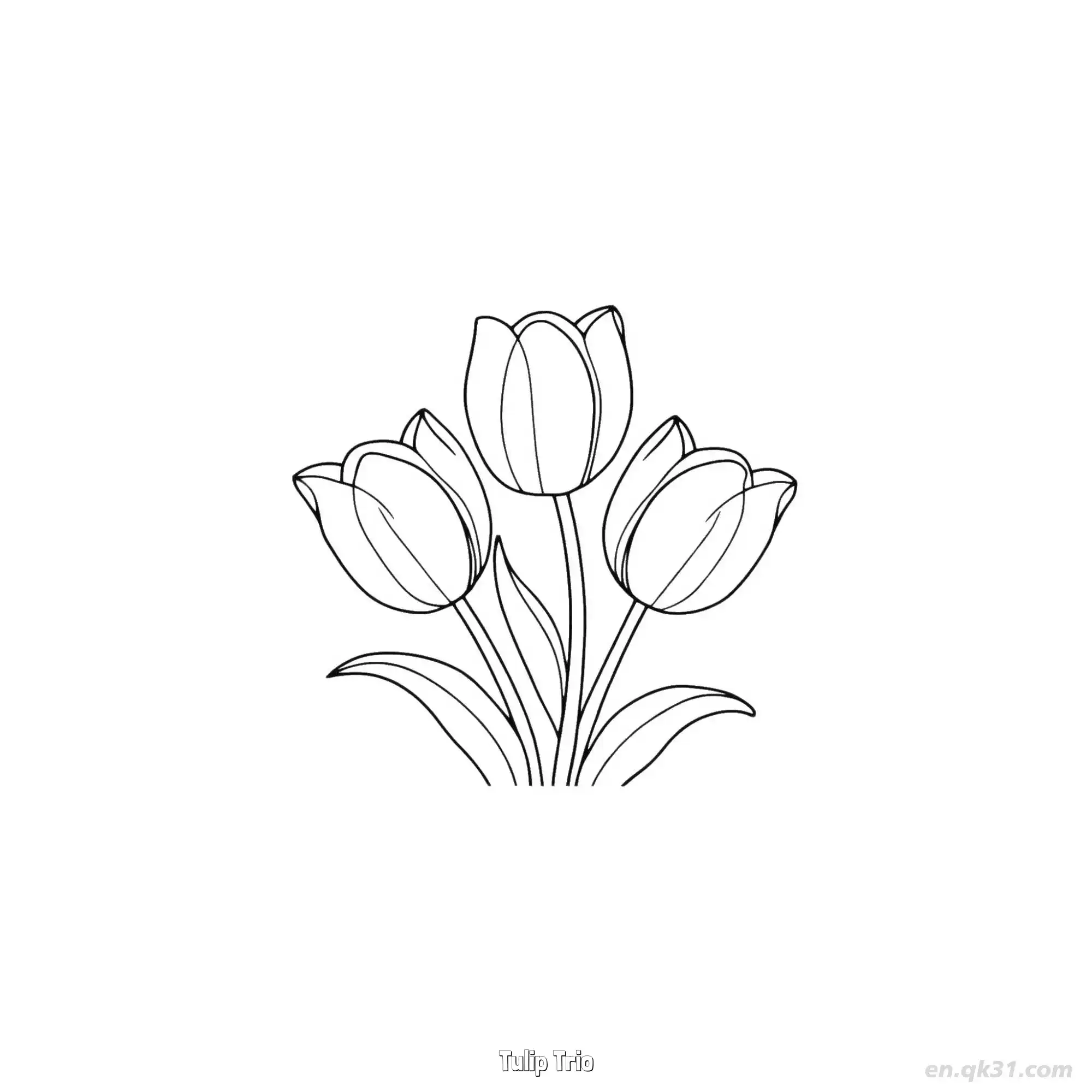 免费 郁金香三朵 简笔画 素描 涂鸦 - 免费可打印 郁金香简笔画 下载PDF 简笔画涂色页