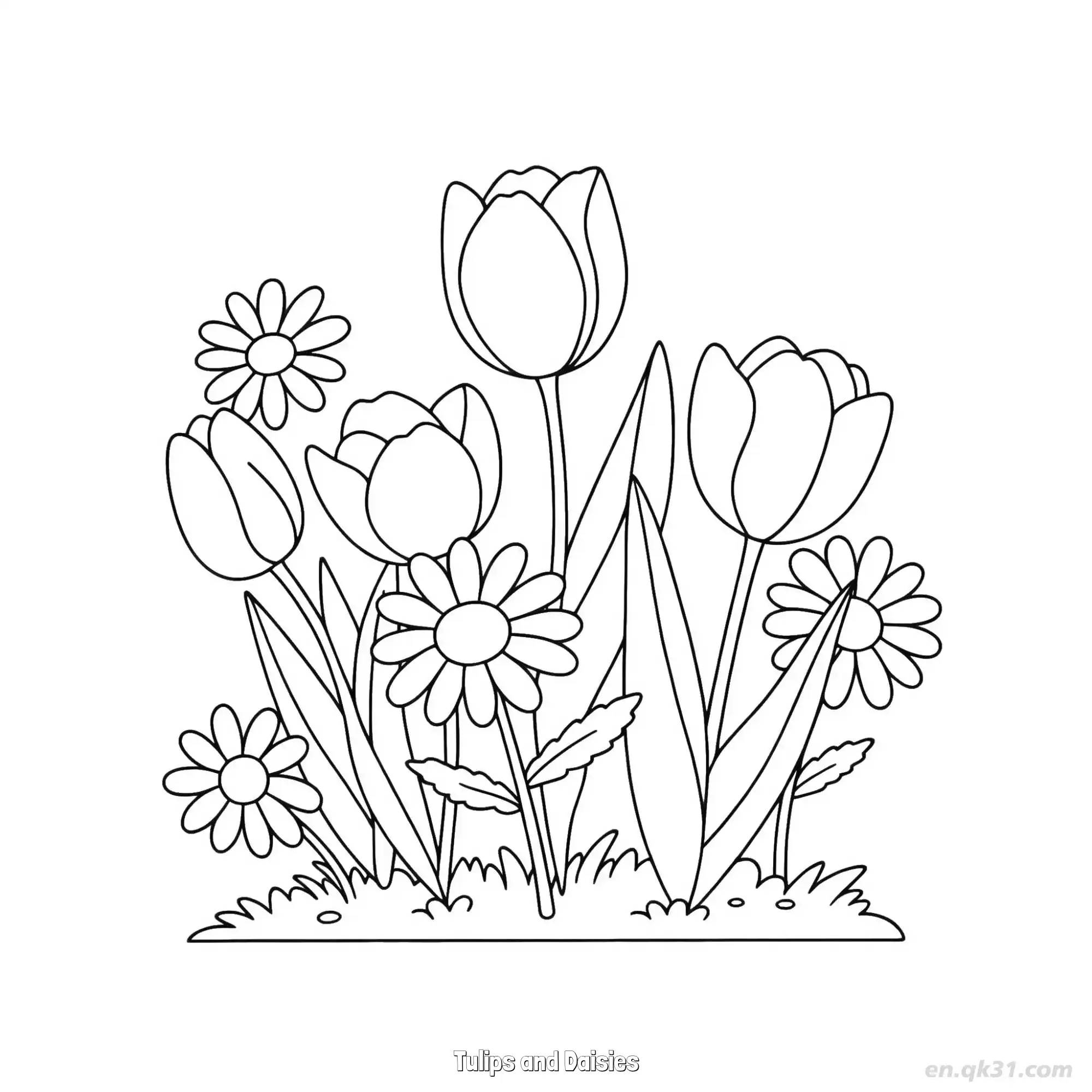 免费 郁金香和雏菊 简笔画 素描 涂鸦 - 免费可打印 郁金香简笔画 下载PDF 简笔画涂色页