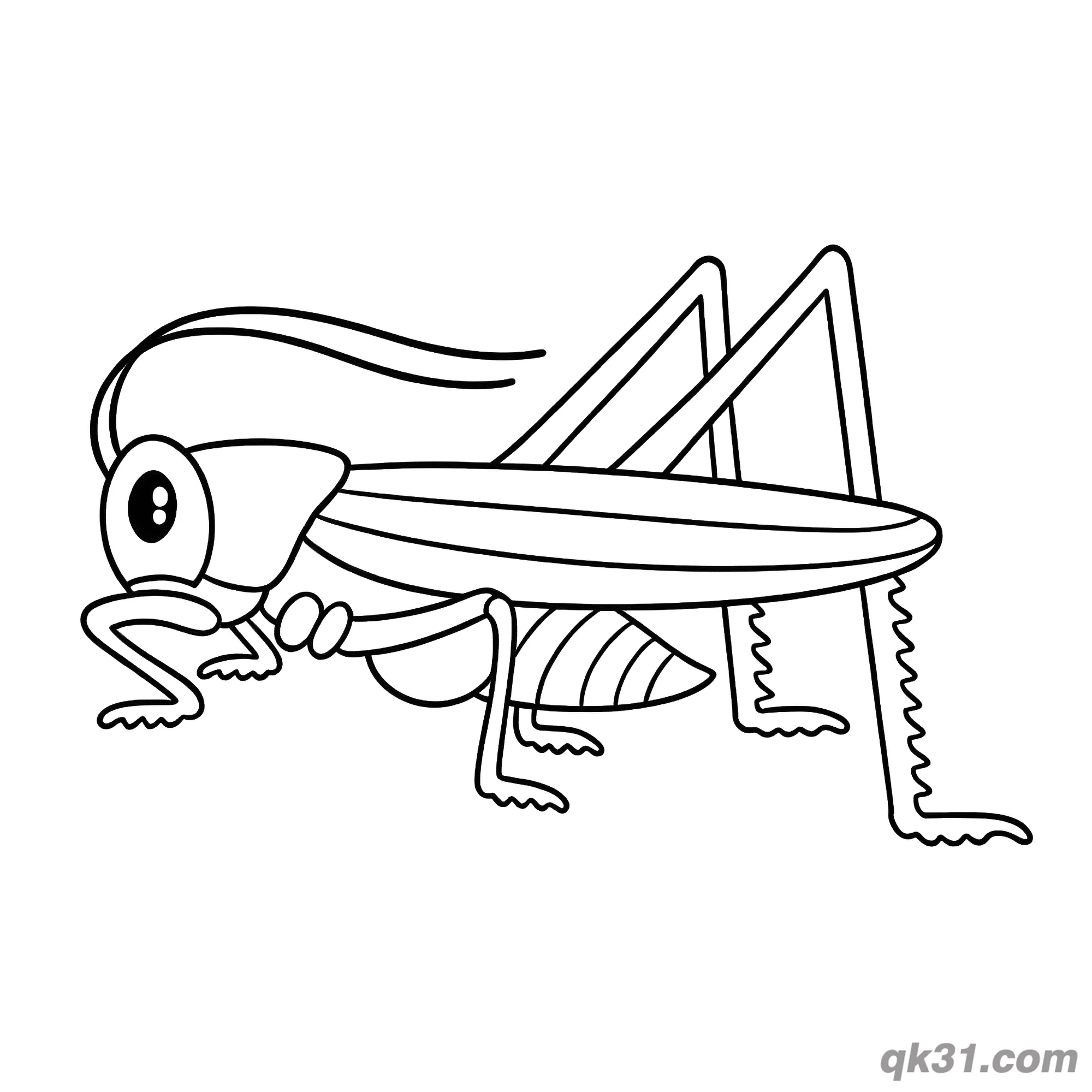 免费 大眼卡通蚱蜢侧影简笔画涂色页 简笔画涂色页