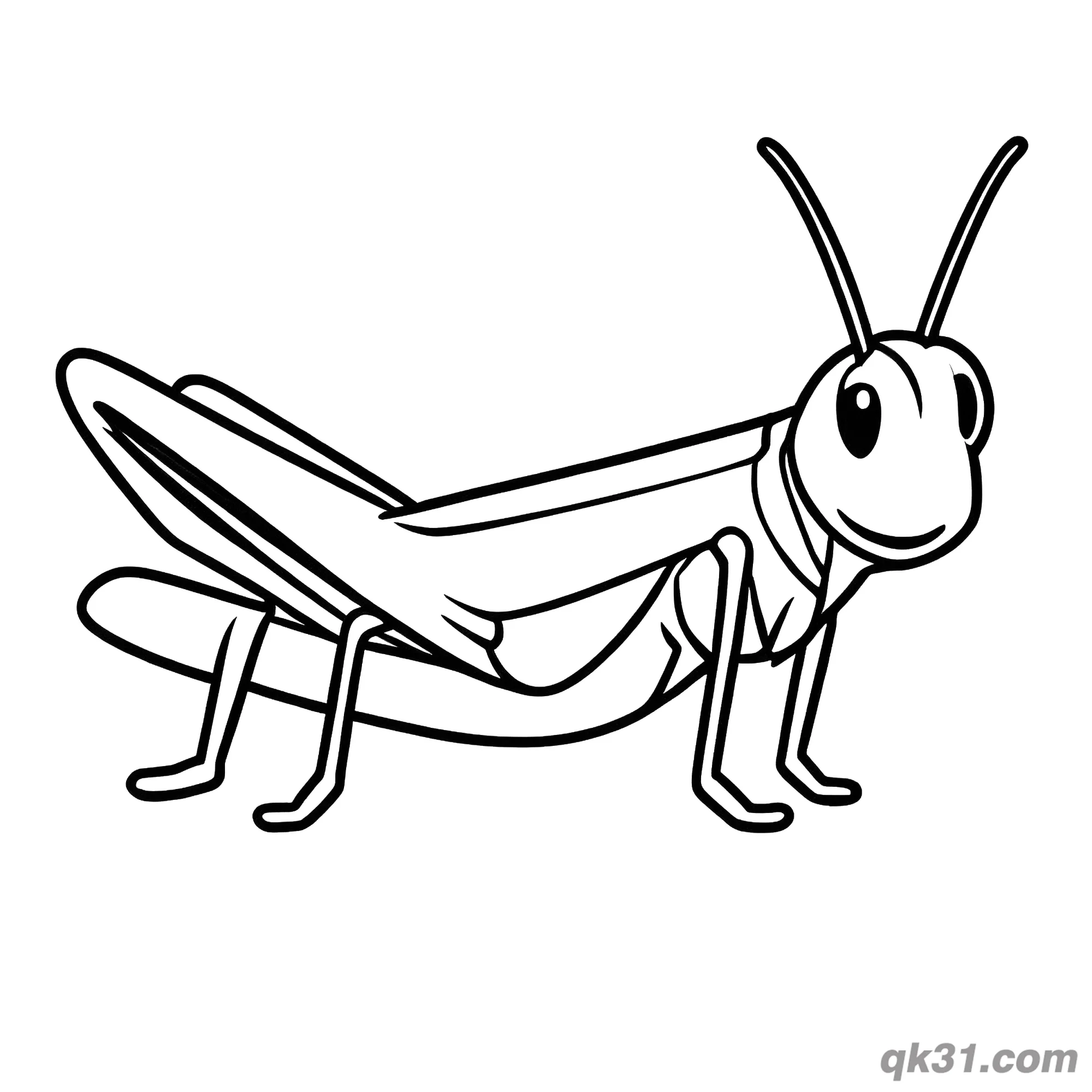 免费 简易科普侧视蚱蜢简笔画涂色页 简笔画涂色页
