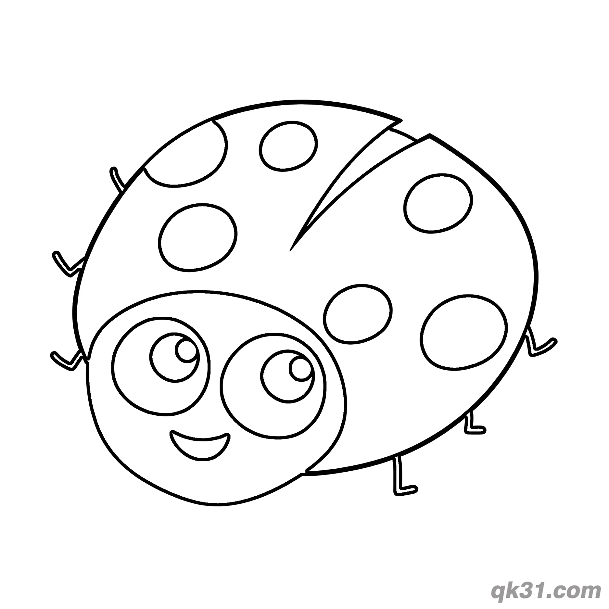 免费 极简卡通俯视瓢虫简笔画涂色页 简笔画涂色页