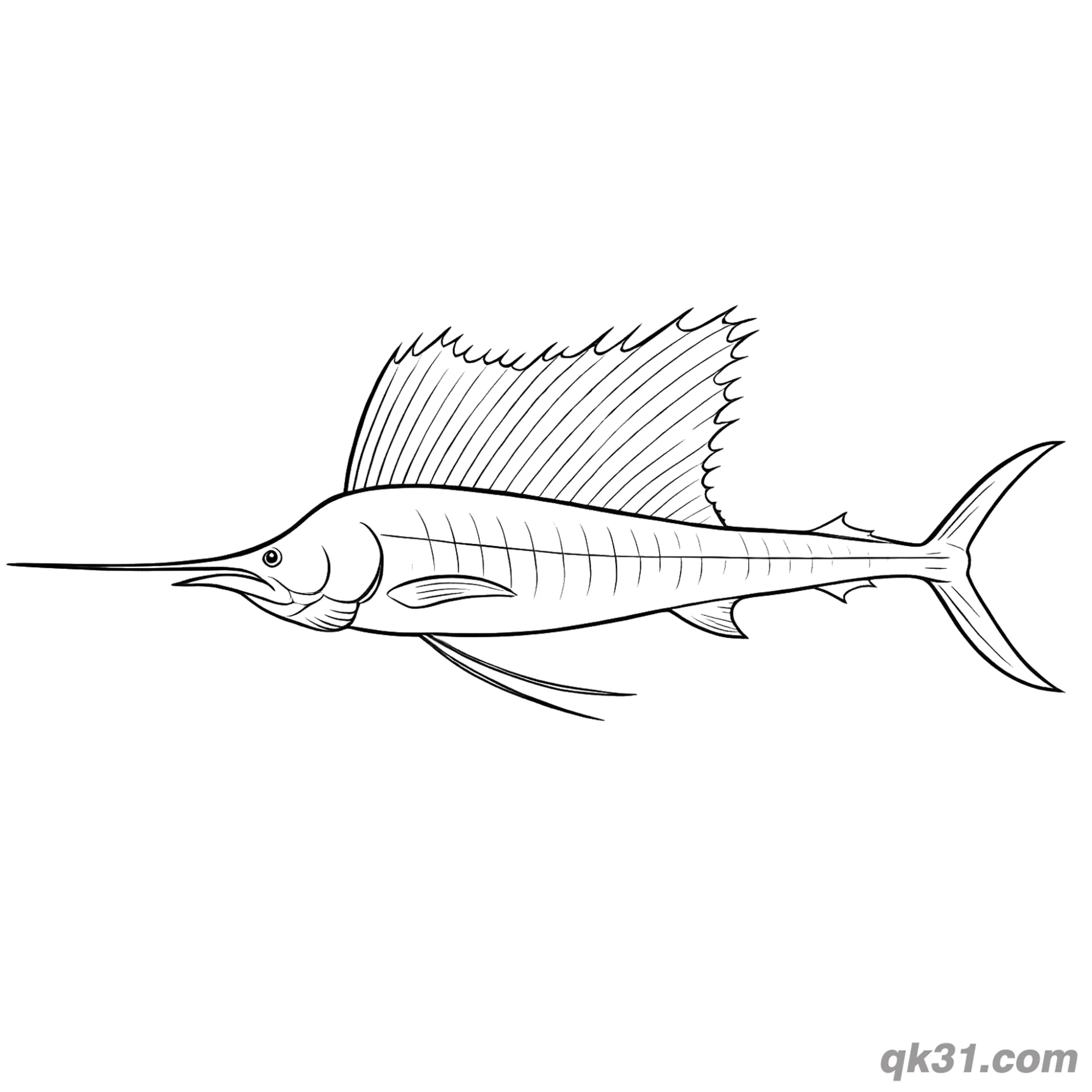 免费 海洋剑鱼自然巡游简笔画涂色页 简笔画涂色页