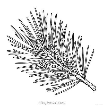 飘落的秋叶 6简笔画 素描 涂鸦 - 免费可打印秋季 下载PDF – 免费可打印简笔画涂色画