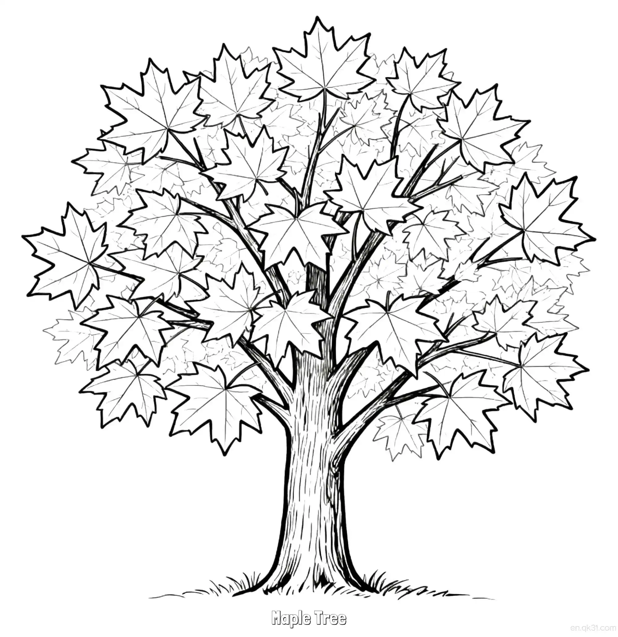 免费 枫树 简笔画 素描 涂鸦 - 免费可打印秋季 下载PDF 简笔画涂色页