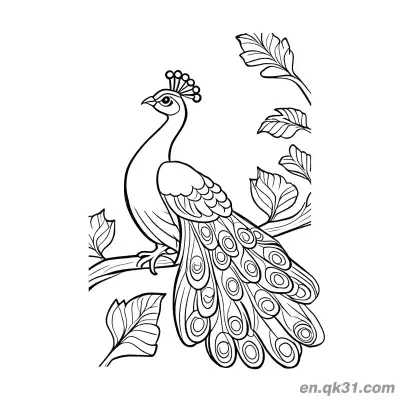 卡通孔雀栖息在树叶树枝间涂色页 – 免费可打印简笔画涂色画