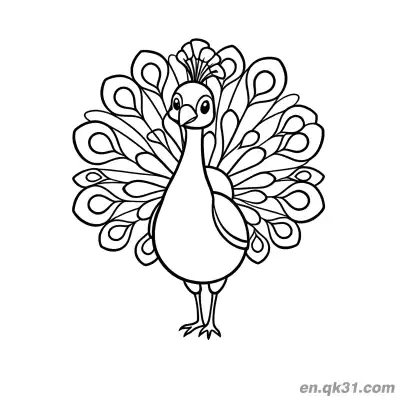 简单轮廓卡通孔雀展开尾羽涂色页 – 免费可打印简笔画涂色画